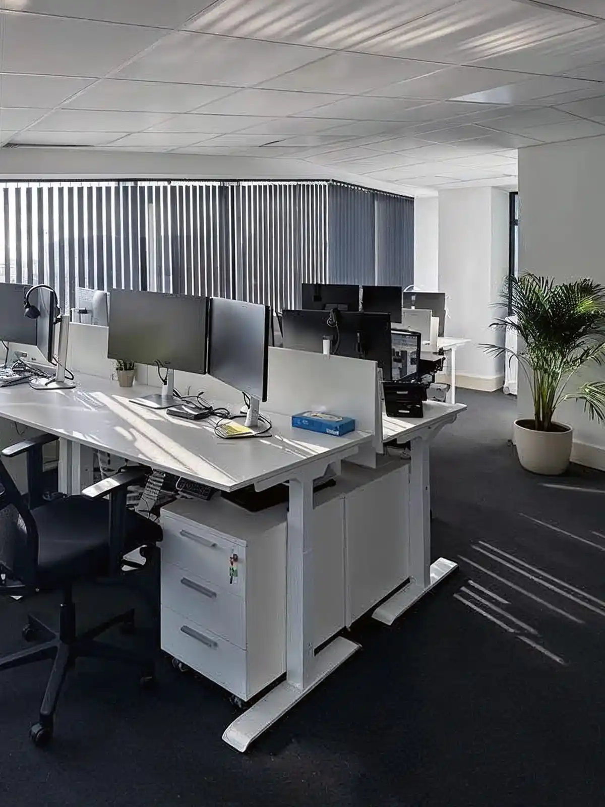 Gallery image